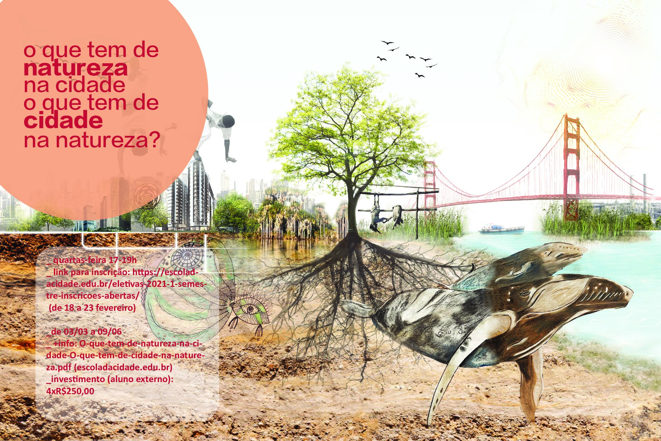 Disciplina eletiva &ldquo;O que tem de natureza na cidade; o que tem de cidade na natureza?&rdquo;