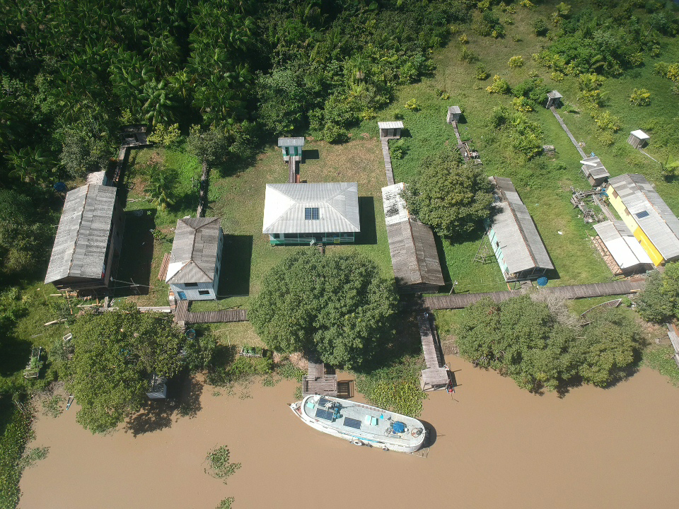 Marajo1